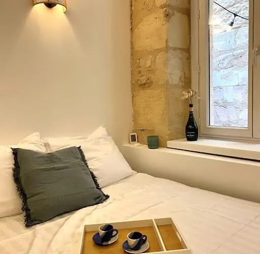 Bordelais Avec Terrasse 아파트 *