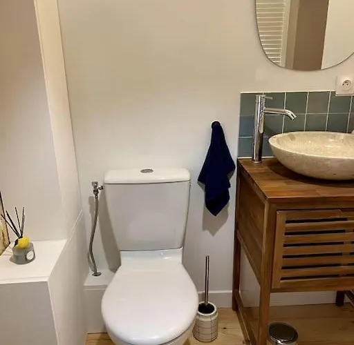 Bordelais Avec Terrasse דירה בורדו